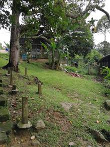 Agricultural Land in Bentong, PHG