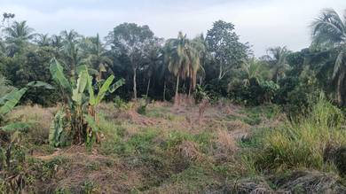 Agricultural Land in Lenggeng, NSN