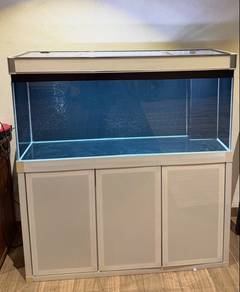 4ft aquarium