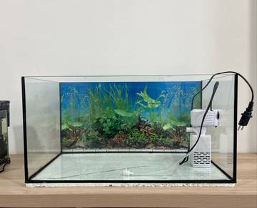 Akuarium ikan kaca