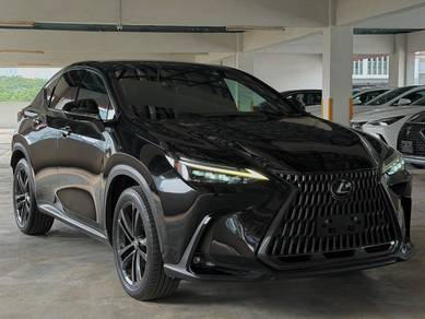 Lexus NX 250 LUXURY in Chan Sow Lin, KUL