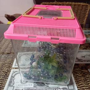 Small Plastic Portable Aquarium or Pet Carrier