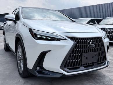 2023 Lexus NX 250 LUXURY