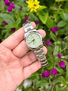 Rolex OP 277200 Pistachio