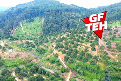 Residential Land in Kuala Kangsar, PRK