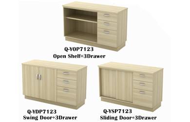 Cabinet Home Study