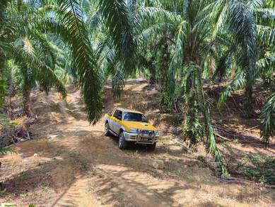 Agricultural Land in Kupang, KDH