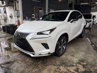 2021 Lexus NX 300 F SPORT