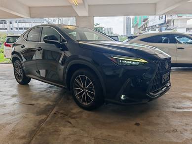 Lexus NX 250 LUXURY in Chan Sow Lin, KUL