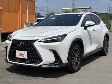 Lexus NX 250 BASE GRADE in Damansara, KUL