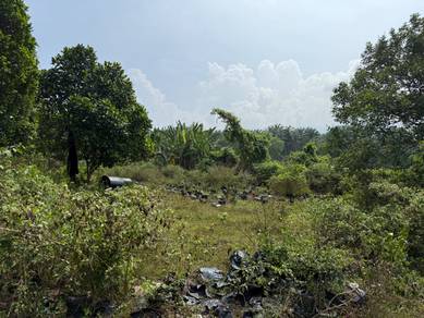 Agricultural Land in Pantai, NSN