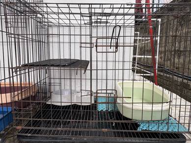 Sangkar kucing