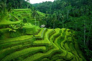 3D2N Bali Tour Package