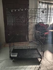 Sangkar kucing