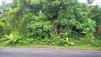 Residential Land in Kapar, SGR