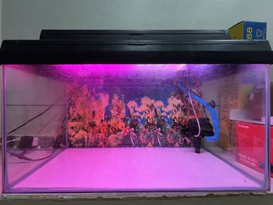 Aquarium Fullset