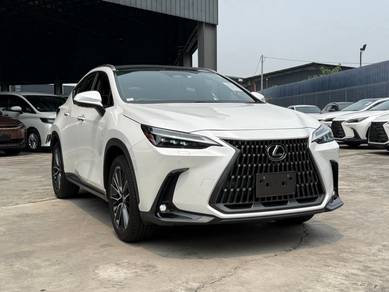 Lexus NX 250 BASE GRADE in Bandar Kinrara, SGR