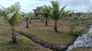 Agricultural Land in Kota Kinabalu, SBH