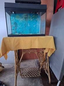 Aquarium & kaki meja singer