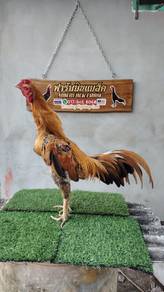 ayam baka baik