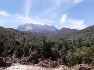 Agricultural Land in Ranau, SBH