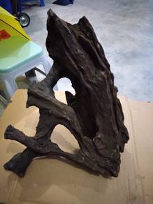 High Density Seasoned Driftwood used in Aquarium .
