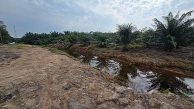 Agricultural Land in Port Dickson, NSN