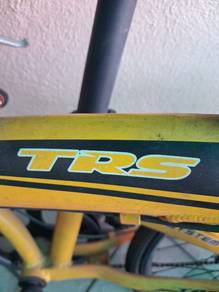 TRS Buddy System Bike