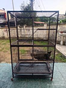kandang kucing dan keperluan2