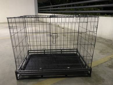 Sangkar kucing