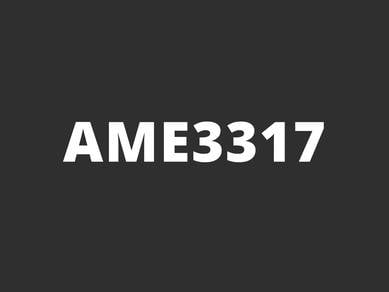 AME3317