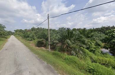 Agricultural Land in Sabak Bernam, SGR