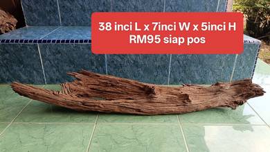 Driftwood  untuk akuarium Klah ikan sungai better