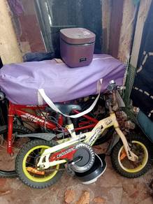 basikal