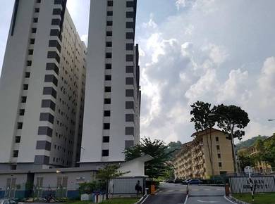 Studio For Rent in Lodge Residence