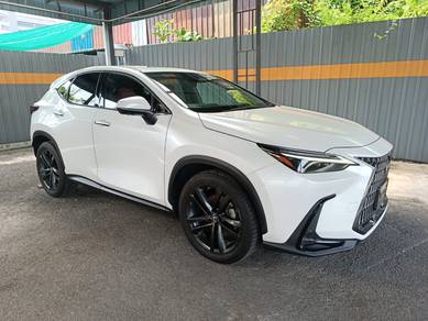 2023 Lexus NX 250 LUXURY