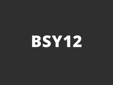 BSY12