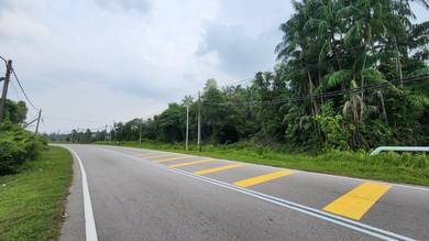 Residential Land in Sedili, JHR