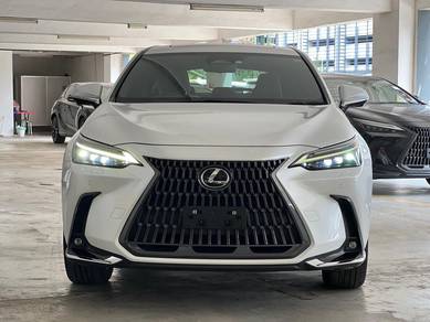 Lexus NX 250 BASE GRADE in Bandar Kinrara, SGR
