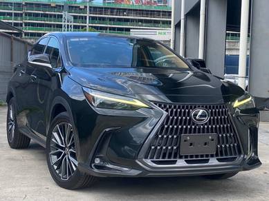 Lexus NX 250 LUXURY in Chan Sow Lin, KUL