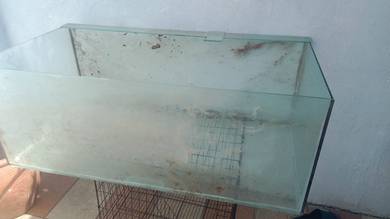 fish tank 