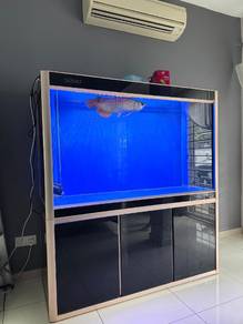 5ft Sobo tank together with Arowana