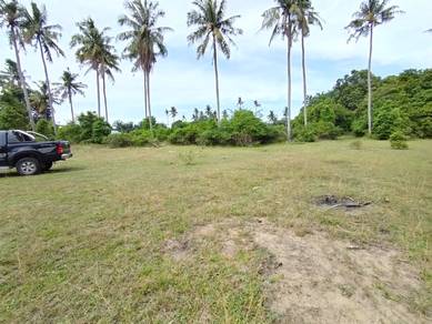 Agricultural Land in Pekan, PHG
