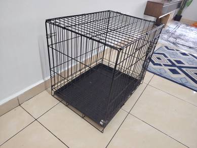 sangkar kucing
