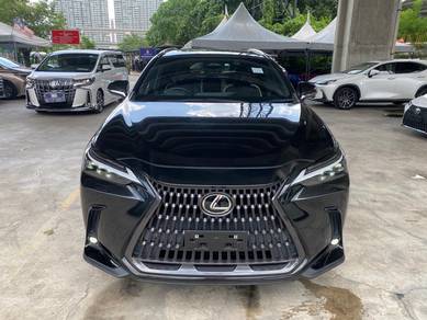 2022 Lexus NX 250 LUXURY