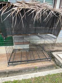 Sangkar Kucing