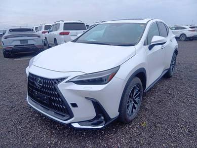 Lexus NX 250 LUXURY in Klang, SGR