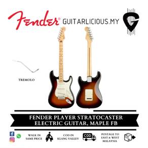 FENDER Player Single-Coil (SSS) Pick Up - Sunburst