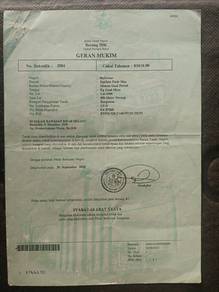 Residential Land in Pasir Mas, KTN
