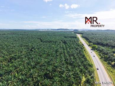 Agricultural Land in Sungai Petani, KDH
